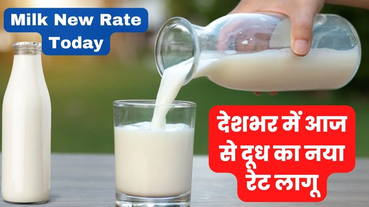 Milk New Rate Today