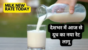 Milk New Rate Today