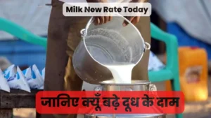 Milk New Rate Today