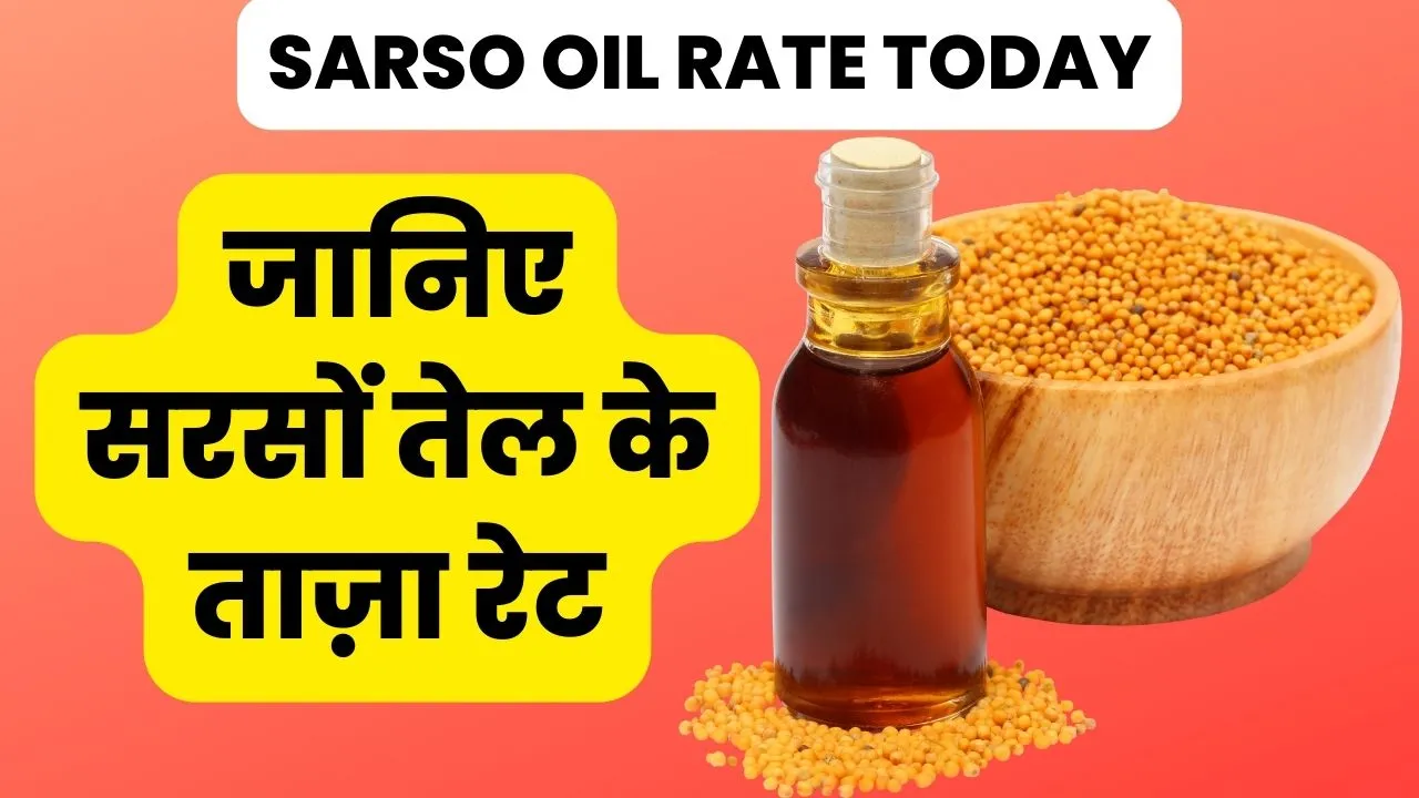 Sarso Oil Rate Today