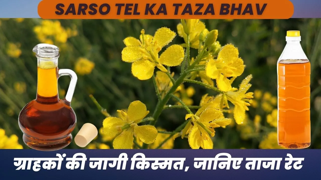 Sarso Tel Ka Taza Bhav