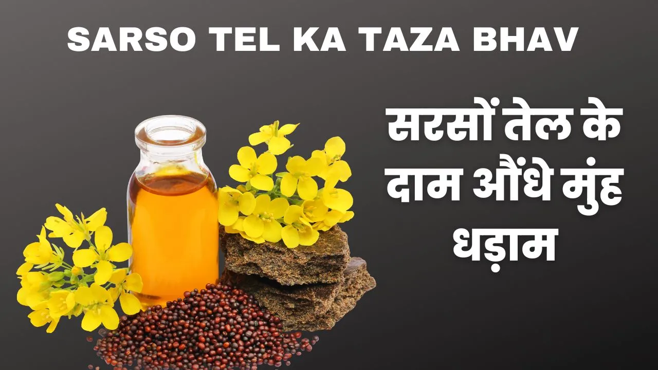 Sarso Tel Ka Taza Bhav