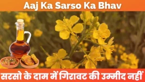 Aaj Ka Sarso Ka Bhav