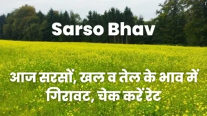 Sarso Bhav