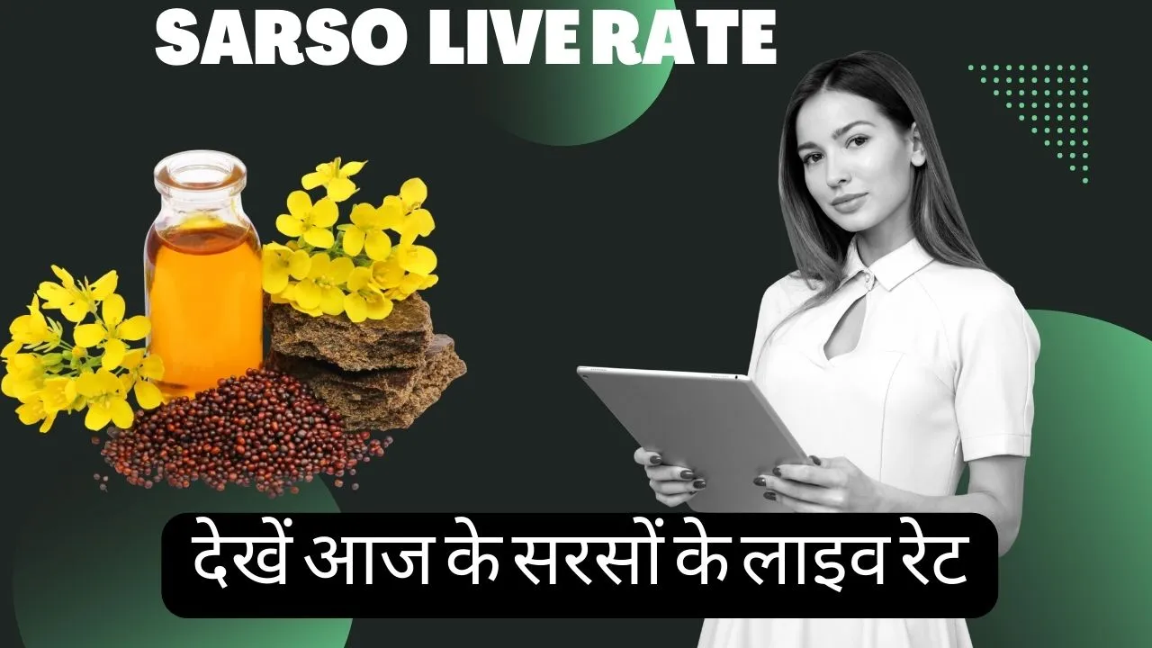 Sarso Live Rate