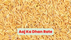 Aaj Ka Dhan Rate