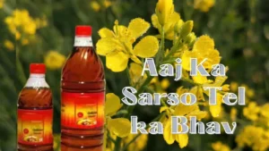 Aaj Ka Sarso Tel ka Bhav