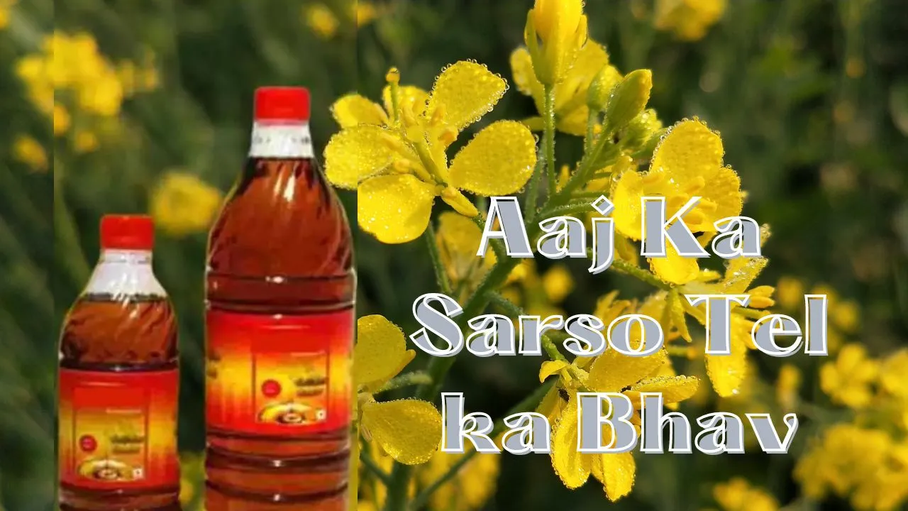 Aaj Ka Sarso Tel ka Bhav