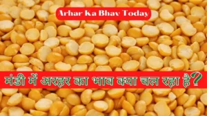 Arhar Ka Bhav Today