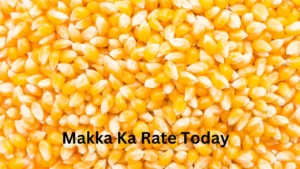 Makka Ka Rate Today