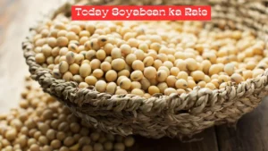 Today Soyabean ka Rate