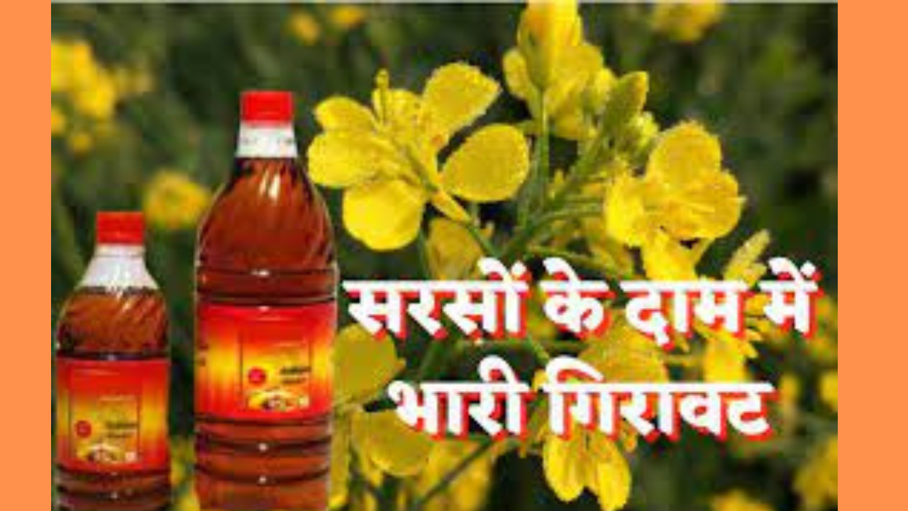 MUSTARD OIL PRICE