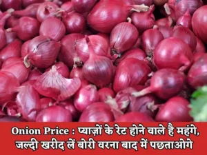 Onion Price