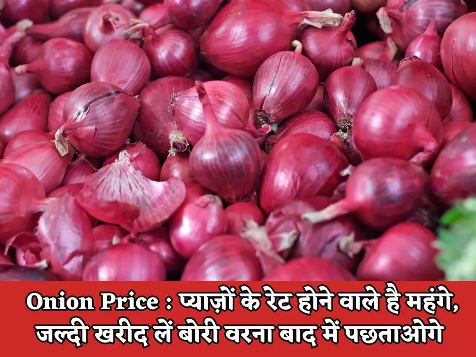 Onion Price